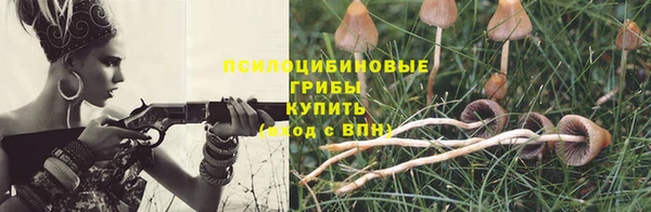 PSILOCYBIN Балабаново