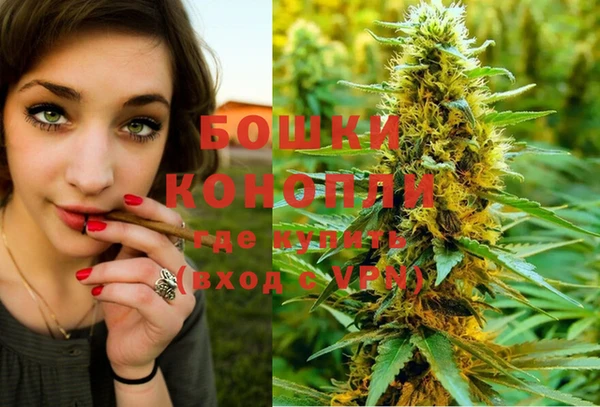 PSILOCYBIN Балабаново