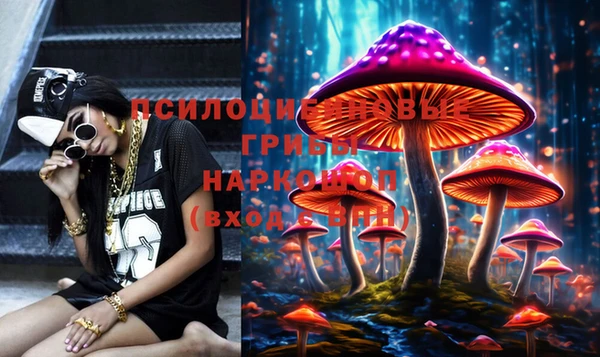 PSILOCYBIN Балабаново