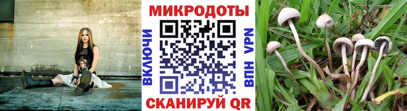 как найти наркотики  Протвино  Псилоцибиновые грибы ЛСД 